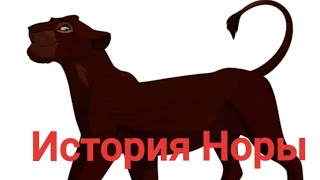 картинка: История Норы.