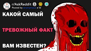 Какой самый тревожный факт вам известен? (r/AskReddit русский)