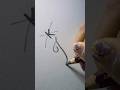 How to write “K” in pencil calligraphy #calligraphy #viral #reels #fyp