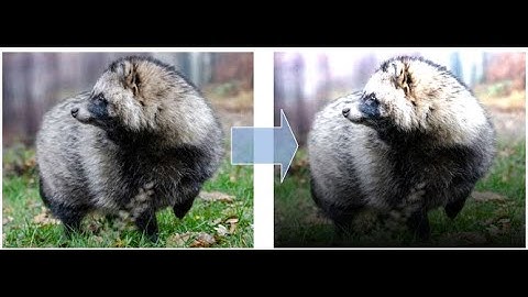 #vertical  #brightness #image #processing #gradient using #my 100% #pure #python #graphics #library