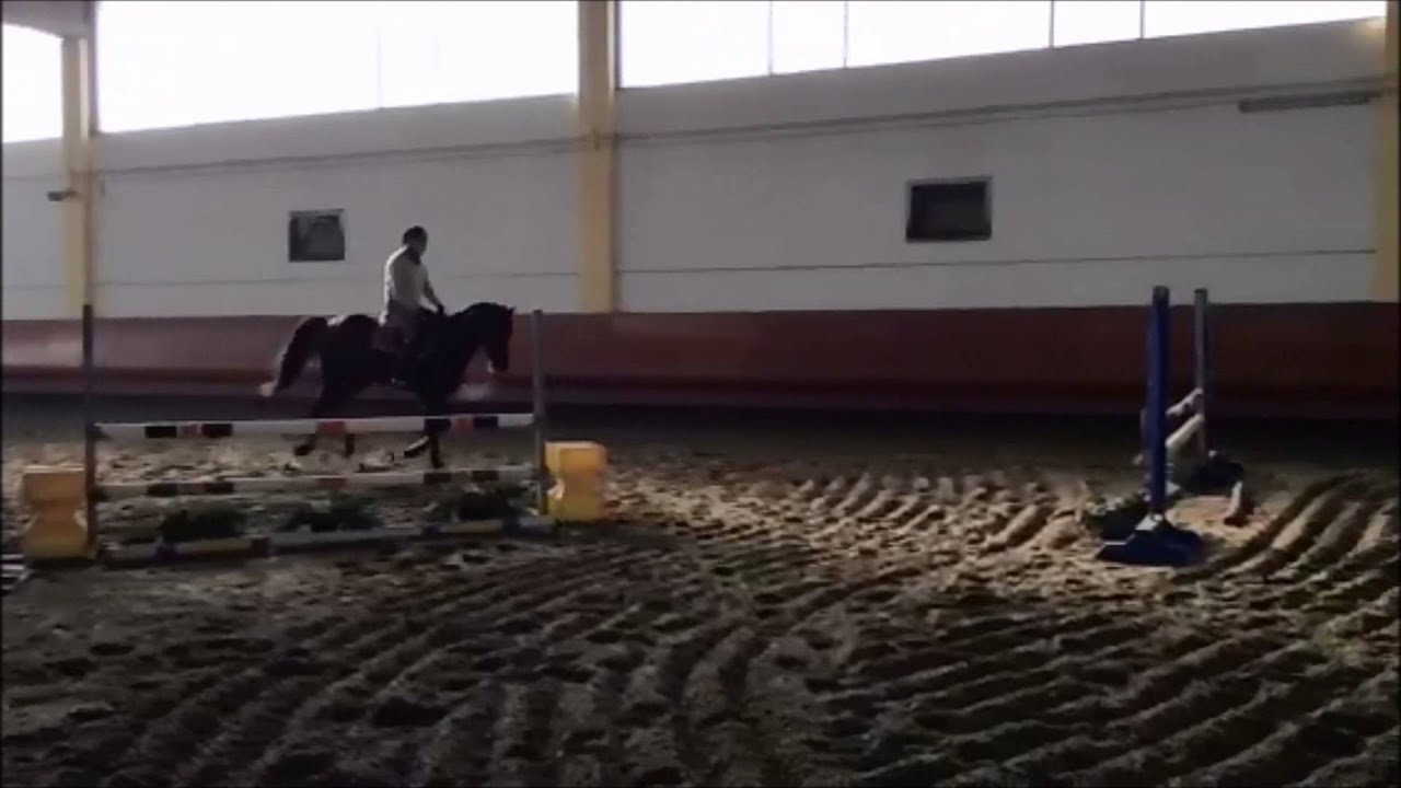 Gianluca Lupinetti - Pegaso di Val Litara - training