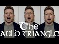 The auld triangle irish folk song cover