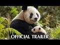 Disneynature's Born In China - Earth Day Trailer