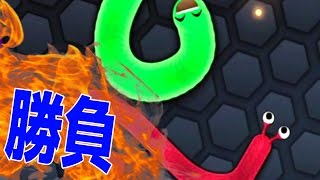 友達とミミズ版Agar.ioで激しすぎる闘いをしたら・・・ - 実況プレイ