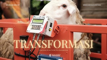 Integrasi Timbangan IOT Untuk Optimalisasi Produksi, Akurasi Data & Perluasan Pasar Pada Peternak