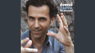 Video thumbnail of "Dweezil Zappa - Rat Race"