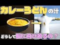 【物理エンジン】カレーうどんのつゆはどうして服に飛び散るの？【日常の疑問】