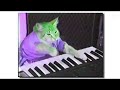 Preview 1280 Keyboard Cat Exploding on Capcut 