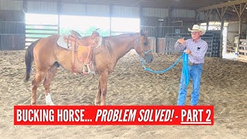 D/C  BUCKING HORSE  | PROBLEM SOLVED!  Part 2 - "The Conversation"