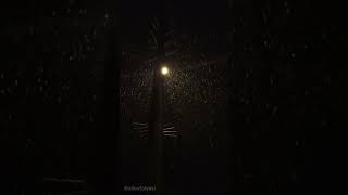 Sağanak Kar Yağışı Ve Sokak Lambası