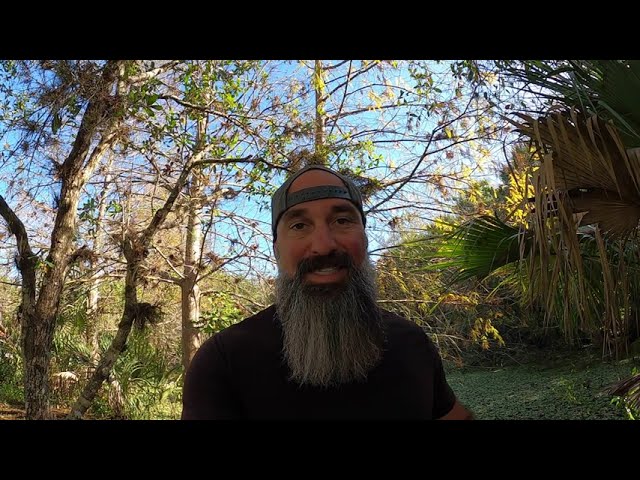 Selling Land with Wetlands in Florida