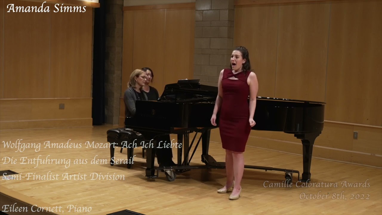 Amanda Simms Artist Division Semi Finalist