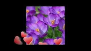 O Minunată Poezie Mărţişor