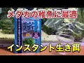 メダカの生き餌　ヒカリ　イージーブラインを紹介します！