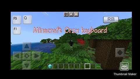 Minecraft orzx keyboard use