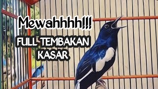 KACER KONSLET FULL ISIAN TEMBAKAN KASAR COCOK UNTUK  KACER YANG BELUM EMOSI AGAR BUNYI ON PLAY