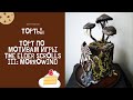 TES3 Morrowind Cake