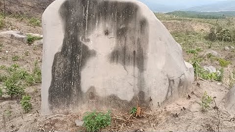 mus cog dib cog taub pom ib lub pob zeb no txawv2.