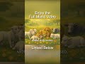 The Son of God Walked with Us (Episode 4) #music #musicvideo #shorts #christian #jesus