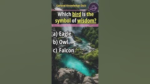 General Knowledge Quiz Part 8 | Splendour Hub #youtubeshorts