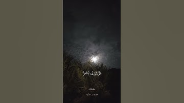 #تلاوات #المصحف #اكسبلور #قرآن #فصلت