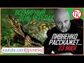 23 мая - ВСЕМИРНЫЙ ДЕНЬ ЧЕРЕПАХ - Николай Пивненко расскажет