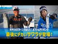 「驚きの大物が登場！大阪湾ジギングゲーム」釣り名人の秘密を暴け！第44回