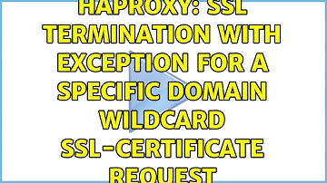 HAProxy: SSL Termination with exception for a specific domain Wildcard SSL-Certificate request