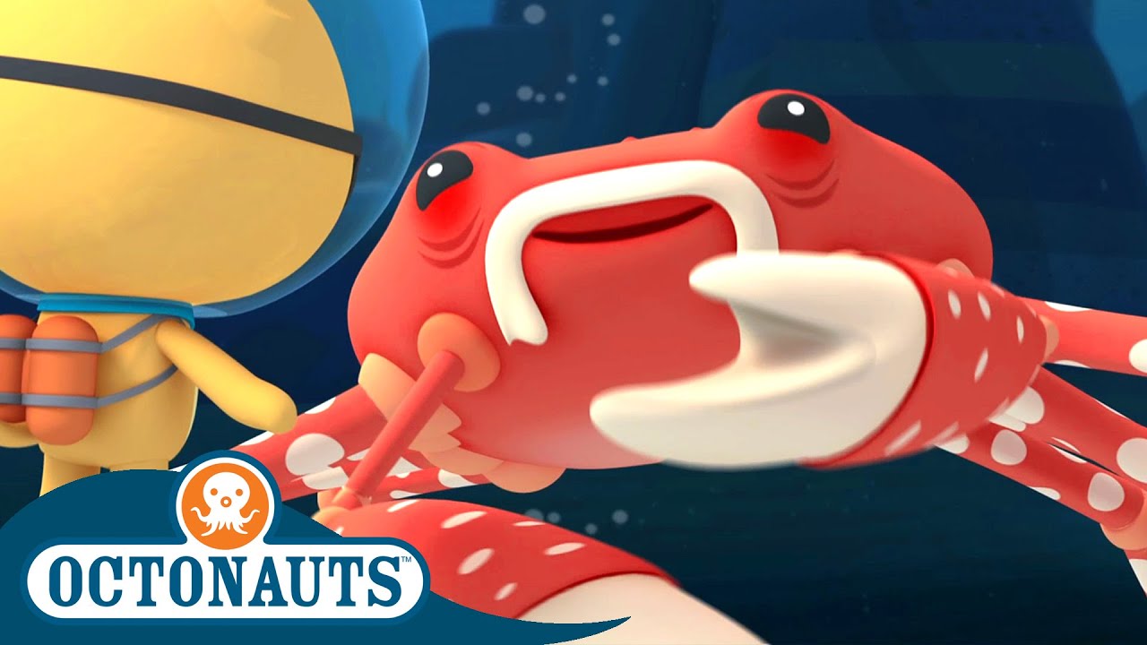 Octonauts Giant Spider Crab The Pirate Parrotfish Cartoons For Kids Underwater Sea Education Youtube