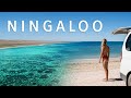 Our favourite place in australia ningaloo reef  ep 35