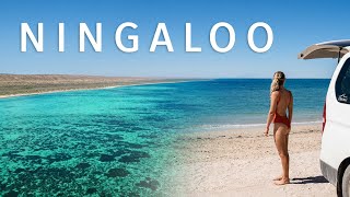 Our favourite place in Australia (Ningaloo Reef) | Ep. 35