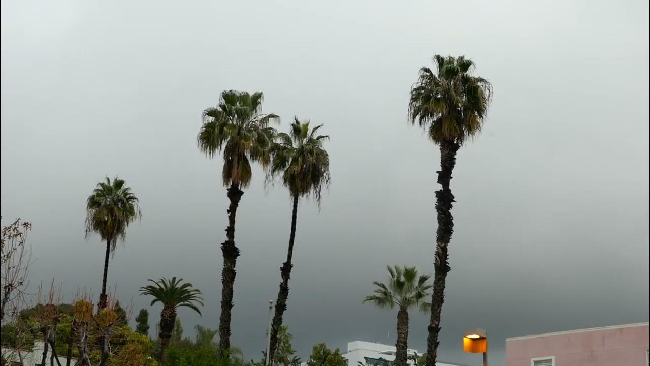 Freezing Cold Weather Los Angeles California Storms Coming February 27