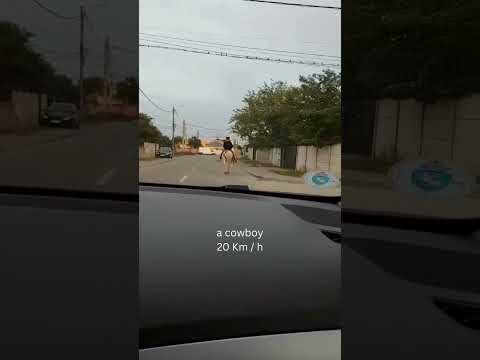 Funny video - Modern cowboy