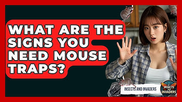 What Are The Signs You Need Mouse Traps? - Insects and Invaders
