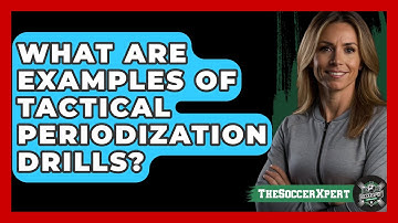 What Are Examples Of Tactical Periodization Drills? - The Soccer Xpert