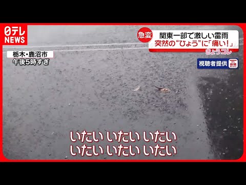 【天気&quot;急変&quot;】関東一部で激しい雷雨　鹿沼市で“ひょう”も