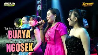 ALL ARTISTS // CITRA NADA LIVE PULOLAMPES VILLAGE // BULAKAMBA DISTRICT - BREBES REGENCY