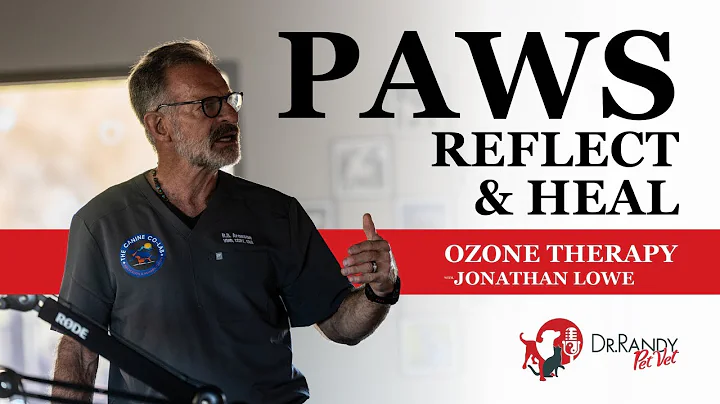 How Ozone Therapy Can Help Your Pet with Jonathan Lowe