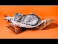 How to Make a Pet Hammock in Five Minutes || DIY Bed for Cat || Polkilo 🐈