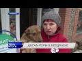ДЕНЬ ИТОГИ 18 01 2017 ДЕНЬ ИТОГИ 18 01 2017
