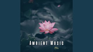 Ambient Serenity Echo