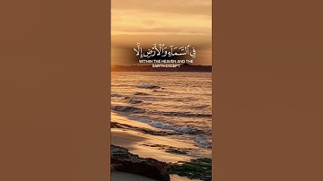 القرآن الكريم ربيع قلوبنا ❤️#القرآن #اكسبلور #المصحف