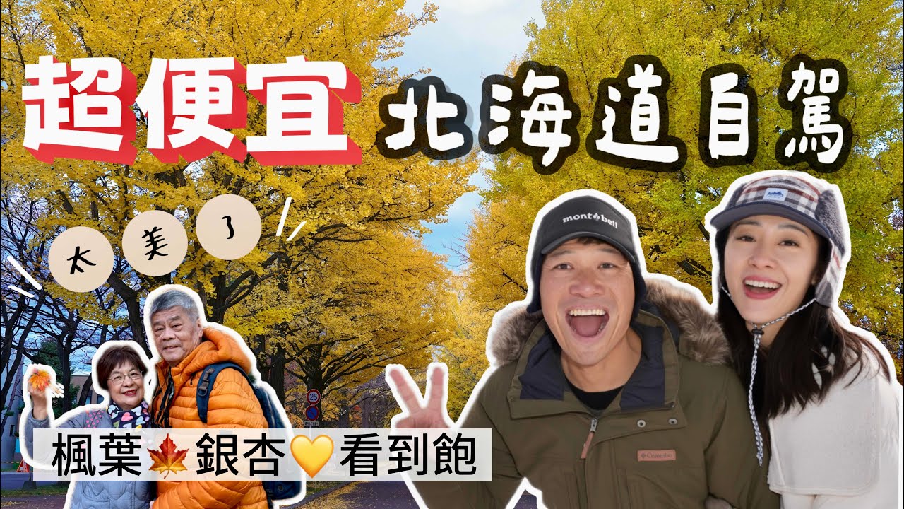 超便宜！11月淡季 帶爸媽來北海道自駕｜楓葉、銀杏看到飽｜札幌 北海道大學 中島公園 ｜美瑛 青池 望岳台 旭川｜
