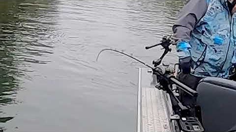 Shortbus Flashers Super Series Takedown