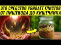 ПОКОНЧИТЕ с ПАРАЗИТАМИ - 5 натуральных рецептов, которые уничтожают кишечных паразитов