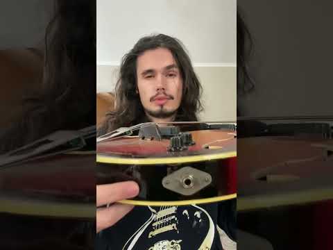 Полуакустический BASS #гитара