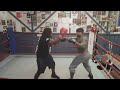MIGHTY MOUSE VS. SHADOW (PRESCION,  PERCENTS, AN TIMING)