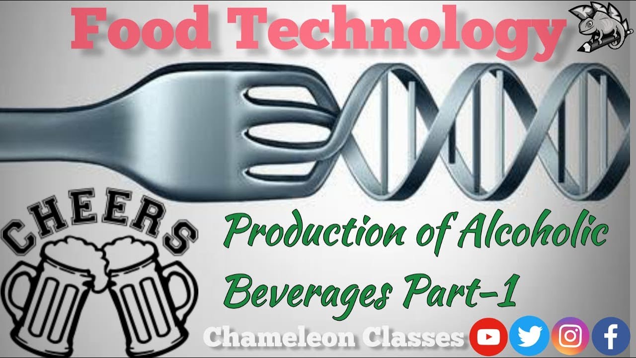 How is Beer Made? Production of alcoholic beverages part1 (Beer
