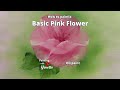 How to paint a basic pink flower  step by step  with yovette
