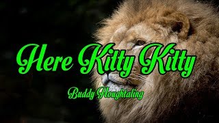 Here Kitty Kitty - Buddy Houghtaling - with lyrics